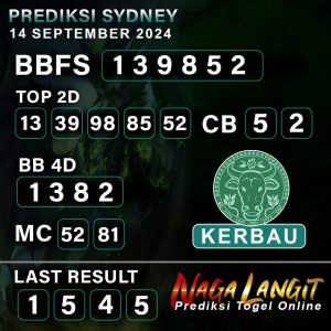 Prediksi Naga SDY 13 S